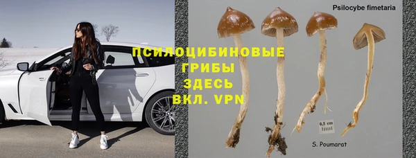 spice Вязьма